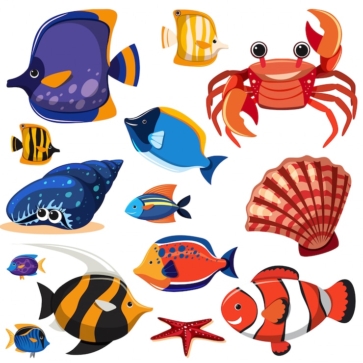 Vecteur un ensemble de créatures marines