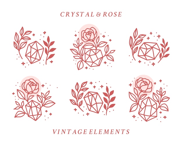 Ensemble De Cristal Vintage Dessiné à La Main Et élément De Logo Floral Rose Botanique