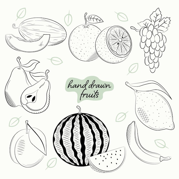 Un Ensemble De Croquis Dessinés à La Main Avec Des Fruits Sains