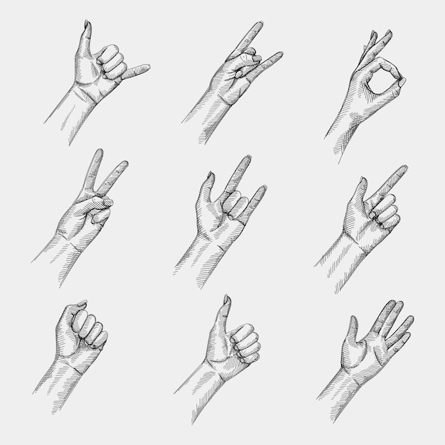 Ensemble de croquis dessinés à la main de signes et de gestes de la main. Rock and Roll, appelez-moi, signe de la main ok, signe de la main de la paix, geste d'amour, signe du pistolet à doigt, vivre longtemps et prospérer, pouces vers le haut / comme, poing gauche
