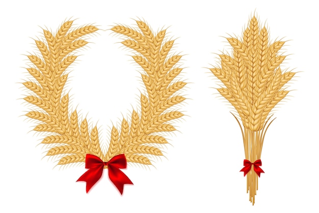 Ensemble de cultures céréalières agricoles