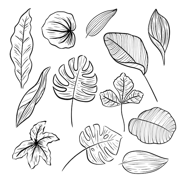 Ensemble de décoration esthétique doodle ligne dessinée à la main feuille