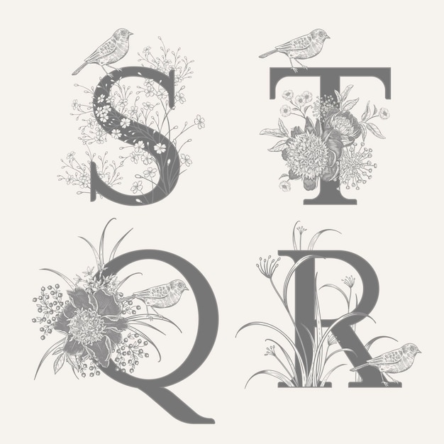 Vecteur ensemble de décorations avec lettres stqr herbes décoratives pivoines fleurs et oiseaux