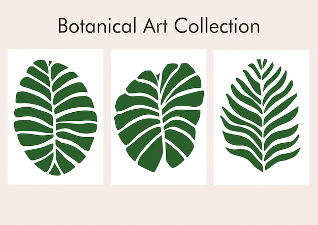 Ensemble de découpes botaniques Affiche imprimable Vector Nature Leaf Design Monstera Plant Art