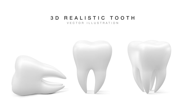 Ensemble de dent blanche dans une position différente isolée sur fond blanc Concept d'examen dentaire des dents Santé dentaire et hygiène Illustration vectorielle