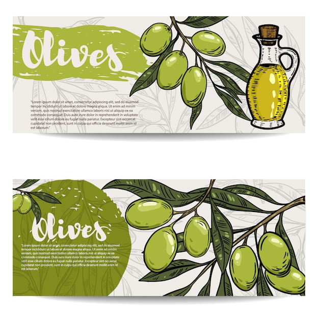 Ensemble De Dépliants D'huile D'olive. Branche D'olivier. éléments Pour, Flyer, Affiche. Illustration