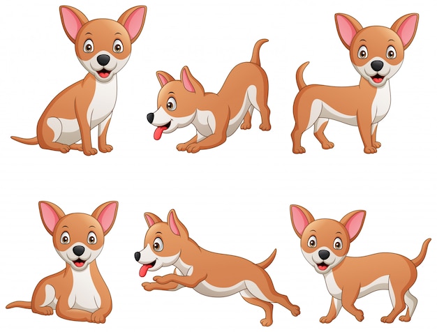 Vecteur ensemble de dessin animé drôle de chien chihuahua. illustration