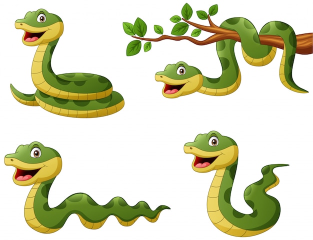 Ensemble de dessin animé drôle de serpent vert. illustration