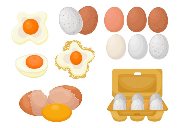Ensemble de dessin animé d'oeufs crus, bouillis et frits. Illustration plate
