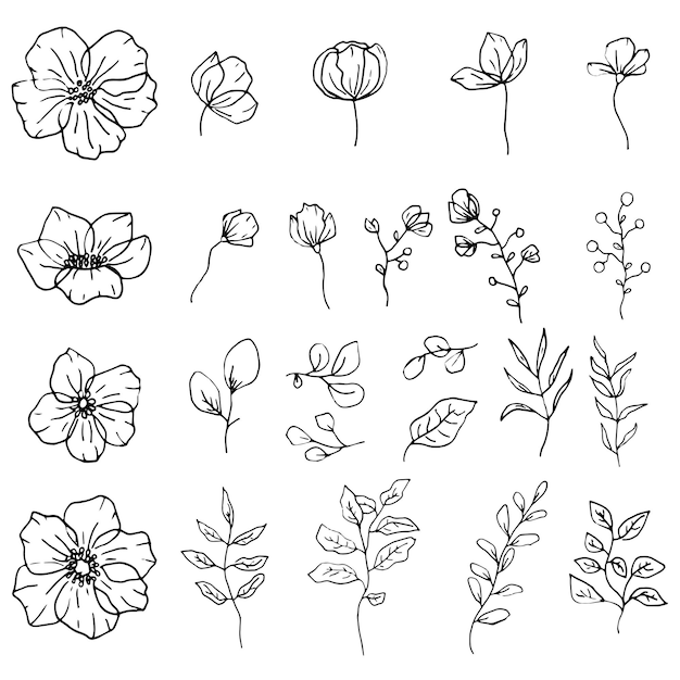 Ensemble dessiné à la main d'éléments floraux isolés Feuilles et fleurs de conception graphique florale