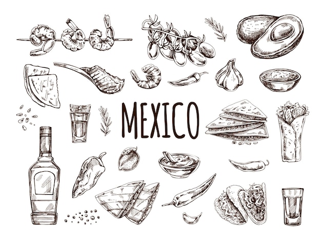 Vecteur ensemble dessiné à la main de plats mexicains réalistes et de produits de la cuisine latino-américaine