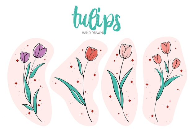 Vecteur ensemble dessiné à la main de tulipes