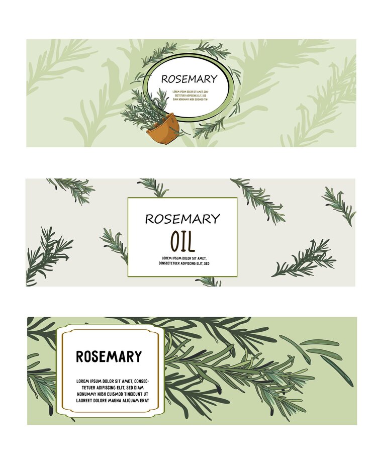 Ensemble de dessins d'étiquettes avec des herbes de romarin illustration vectorielle avec des éléments isolés