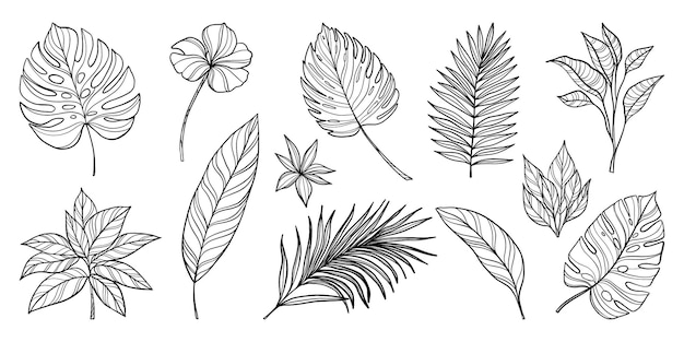 un ensemble de dessins de feuilles de palmier et de fleurs