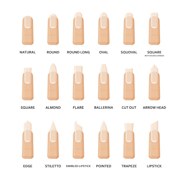Ensemble de différentes formes de clous. Collection de formes d'ongles féminins de mode. Manucure professionnelle. illustration.
