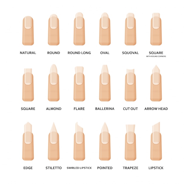 Ensemble De Différentes Formes De Clous. Collection De Formes D'ongles Féminins De Mode. Manucure Professionnelle. Illustration.