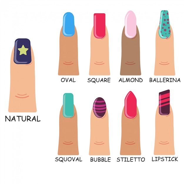 Ensemble de différentes formes de clous sur fond blanc. Manucure féminine au design plat. Types de formes de couleurs vives à la mode de la collection d'ongles.