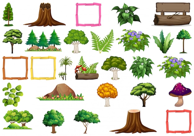 Vecteur ensemble de différentes plantes, arbres et objets de la nature