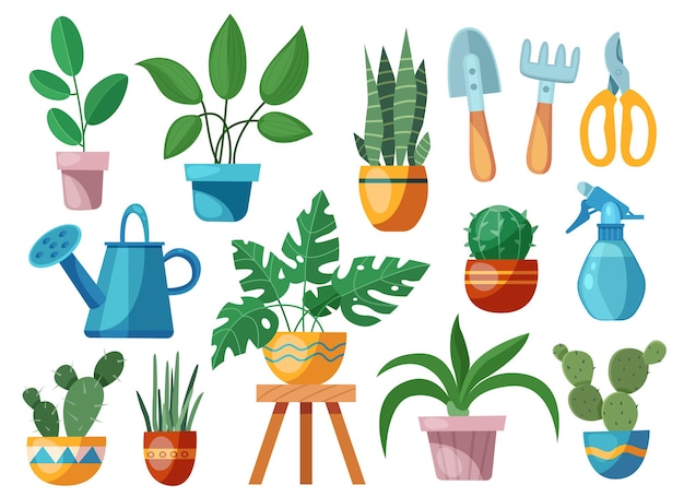 Vecteur un ensemble de différentes plantes d'intérieur en pots outils d'entretien des plantes d'intérieur plantes d'intérieur