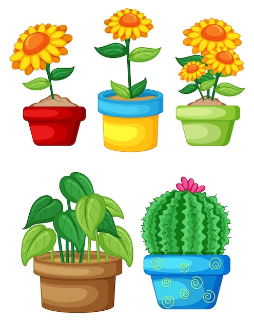 Vecteur ensemble de différentes plantes en pots