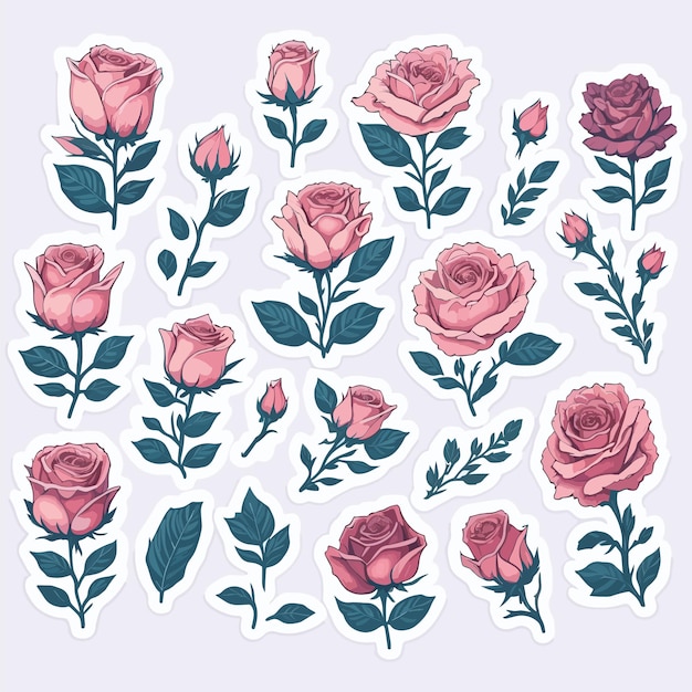 Un Ensemble De Différentes Roses Et Feuilles