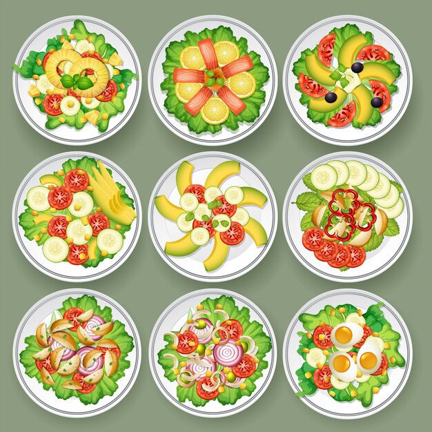 Vecteur ensemble de différentes salades