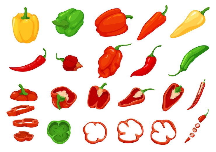 Vecteur un ensemble de différents piments doux et piquants morceaux de légumes hachés illustration vectorielle