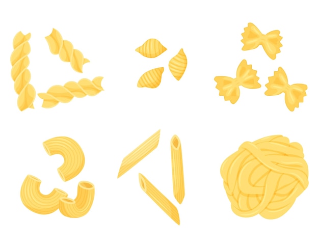 Un Ensemble De Différents Types De Pâtes. Penne, Farfalle, Fettuccine, Conchiglie, Gomiti Rigatti, Fusilli.