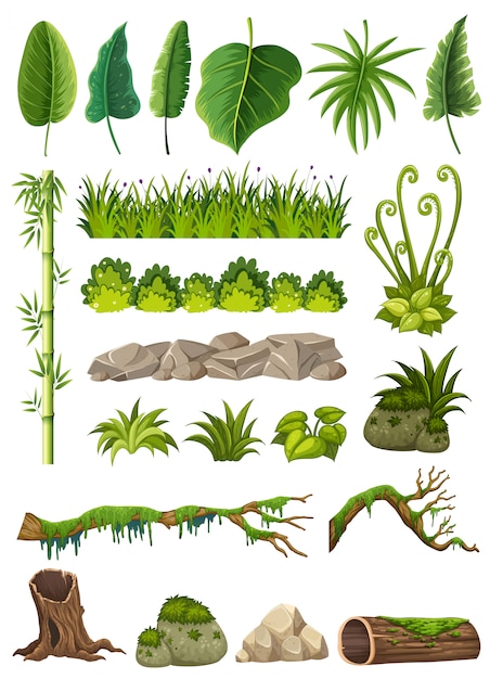 Ensemble de divers objets de la jungle