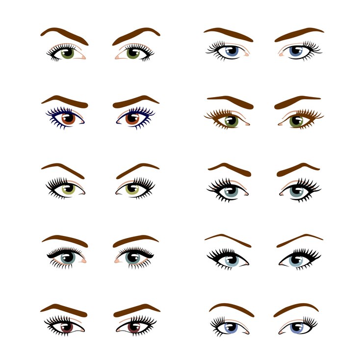 Vecteur ensemble de divers types de couleur yeux femelles isolé sur fond blanc.