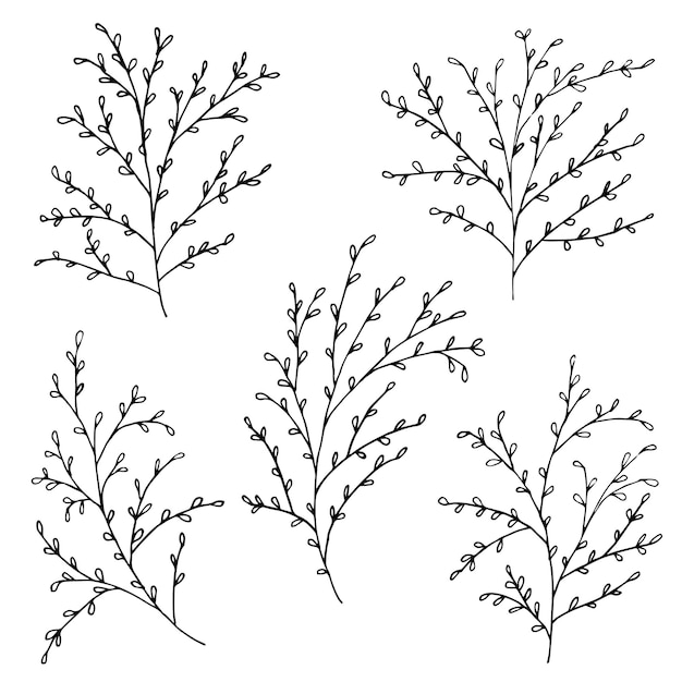 Vecteur ensemble de doodle de branches, croquis floral fait main avec des feuilles sur fond blanc