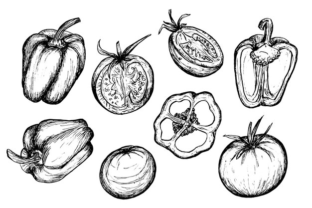 Ensemble de doodle de légumes illustration dessinée à la main sur fond blanc croquis de tomates et de poivrons