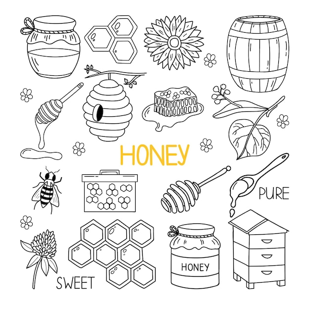 Vecteur ensemble de doodle de miel dessinés à la main.