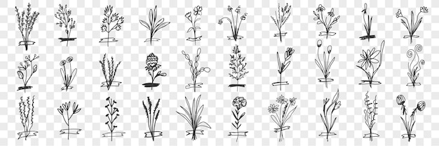 Vecteur ensemble de doodle de plantes en fleurs.