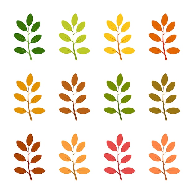 Ensemble De Douze Feuilles D'automne Dans Différentes Couleurs D'automne. Illustration Vectorielle.