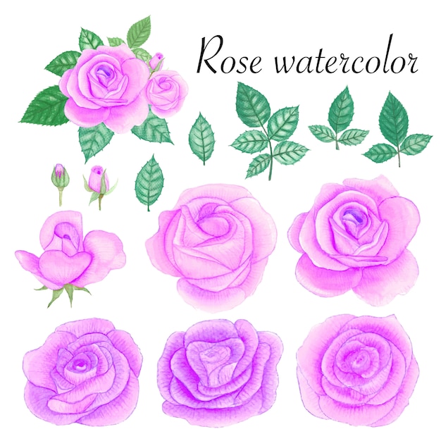 Ensemble d'éléments aquarelles roses.