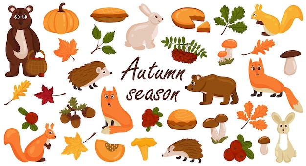 Ensemble d'éléments d'automne, animaux, champignons, feuilles d'automne colorées et lumineuses. Style de dessin animé de vecteur. Isolé sur fond blanc.