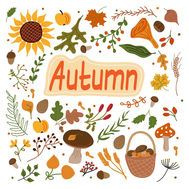 Un ensemble d'éléments d'automne plats dessinés à la main