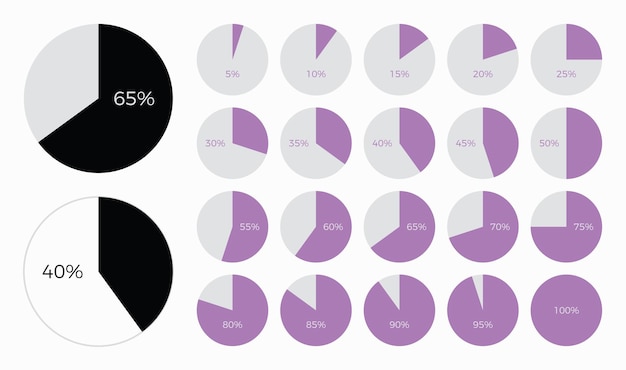 Ensemble d'éléments de conception de diagrammes circulaires infographiques à la mode avec des pourcentages