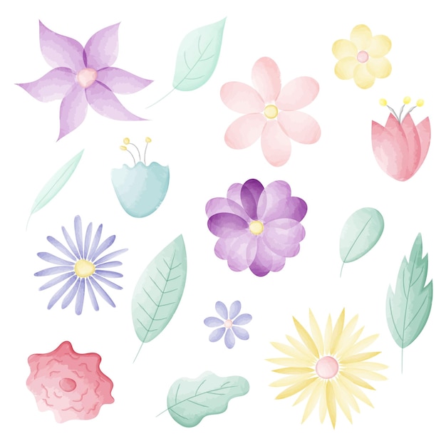 Ensemble d'éléments floraux Arrangements vectoriels pour la carte de vœux ou la conception d'invitation