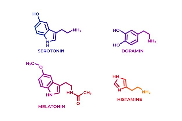 Ensemble d'éléments d'hormones de gradient