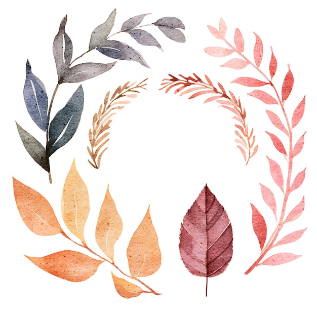 Ensemble D'éléments D'illustration De Feuilles Aquarelle