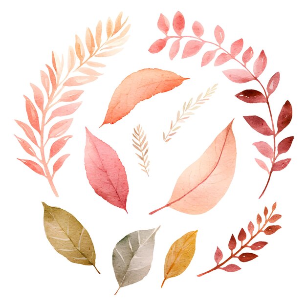 Ensemble D'éléments D'illustration De Feuilles Aquarelle