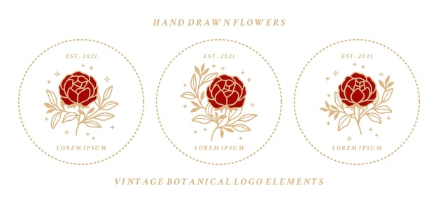 Ensemble D'éléments De Logo Floral Vintage Beauté Féminine Avec Cadre
