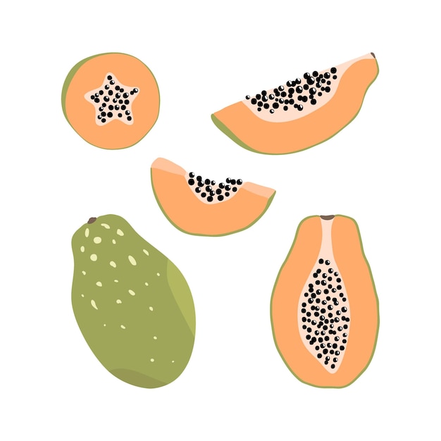 Ensemble d'éléments de papaye dessinés à la main sous différentes formes Illustration de fruits exotiques