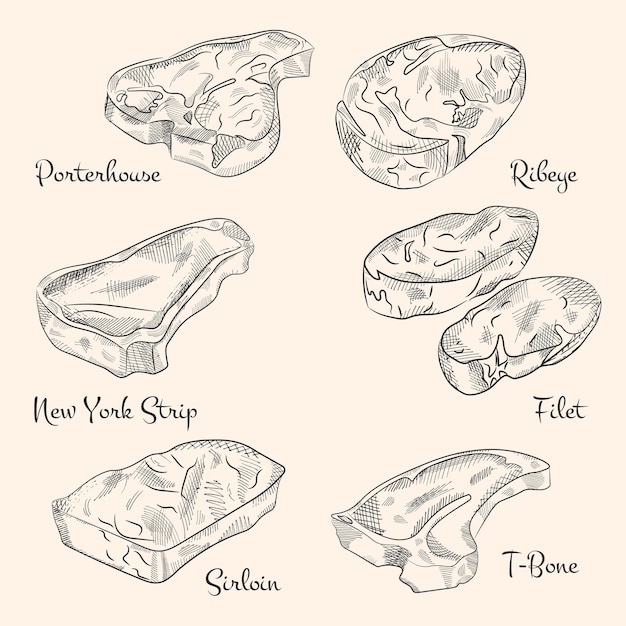 Vecteur un ensemble d'esquisses dessinées à la main de différents types de steaks de viande, d'illustrations vintage gravées