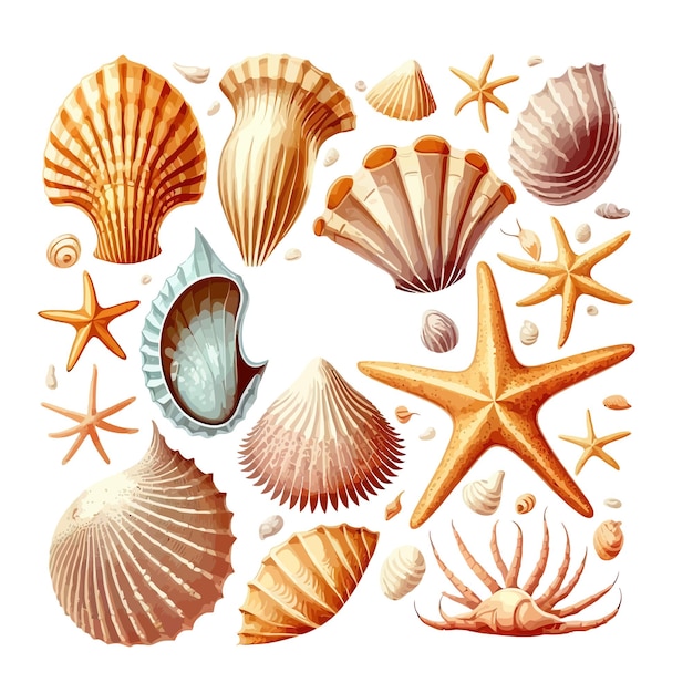 Ensemble d'étoiles de mer coquillages Web isolé sur fond Illustration vectorielle plane dessin animé