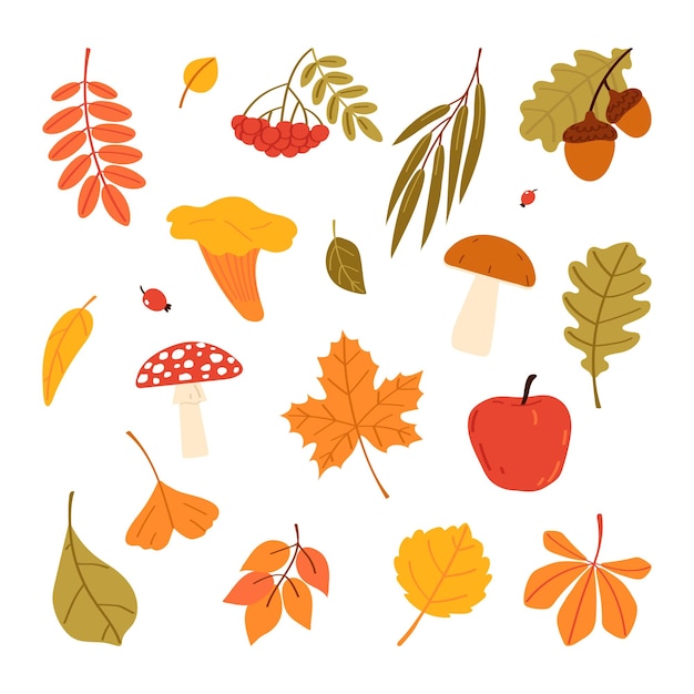 Ensemble de feuilles d'automne et de champignons Illustration vectorielle plate isolée sur fond blanc