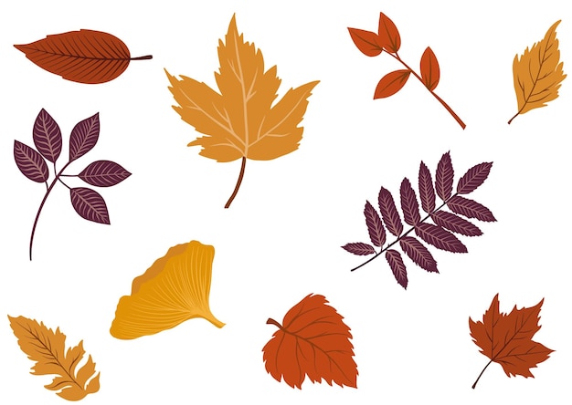 Vecteur ensemble de feuilles d'automne colorées qui tombent