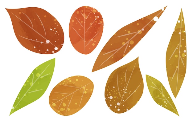 Vecteur ensemble de feuilles d'automne illustration de style aquarelle transparente